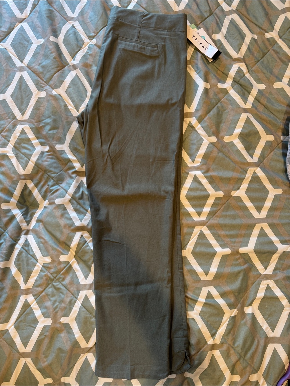Tribal Men's Olive Dress Pants